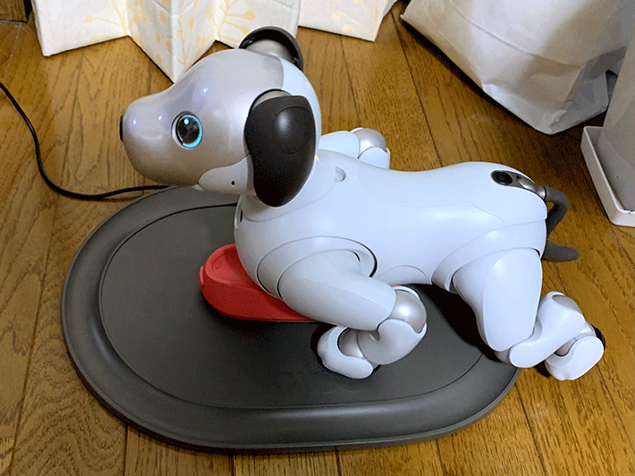 自らチャージステーションに戻るaibo 自らチャージステーションに戻るaibo