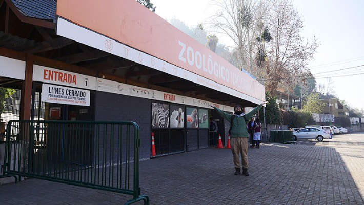 サンティアゴ動物園で、