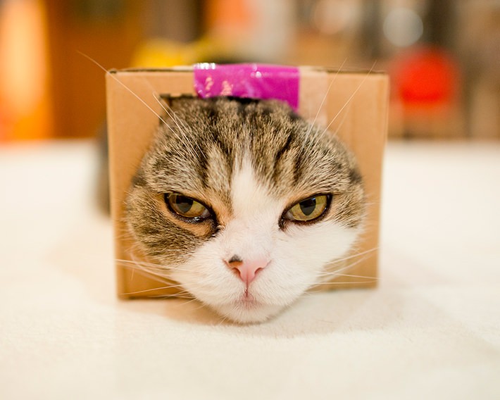 撮影時の心がけ:よく遊び、よく知る!