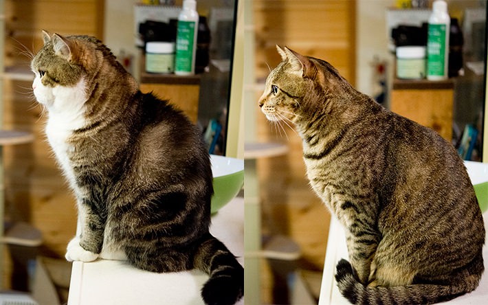 撮影時の心がけ:よく遊び、よく知る!