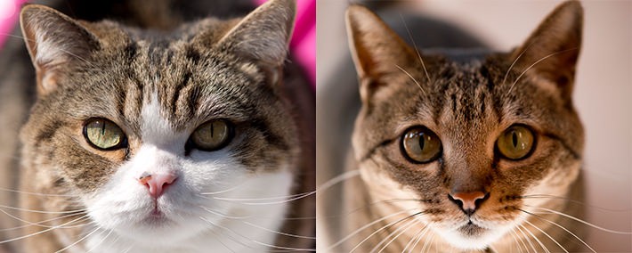 撮影時の心がけ:よく遊び、よく知る!