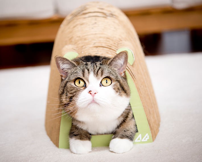 写真・動画撮影のポイント:まずは片付け! そして明るく撮れるレンズは必須