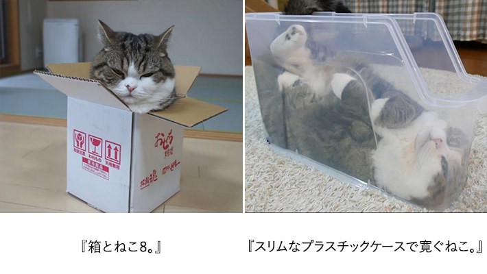 写真より、動画を撮るほうがむずかしい