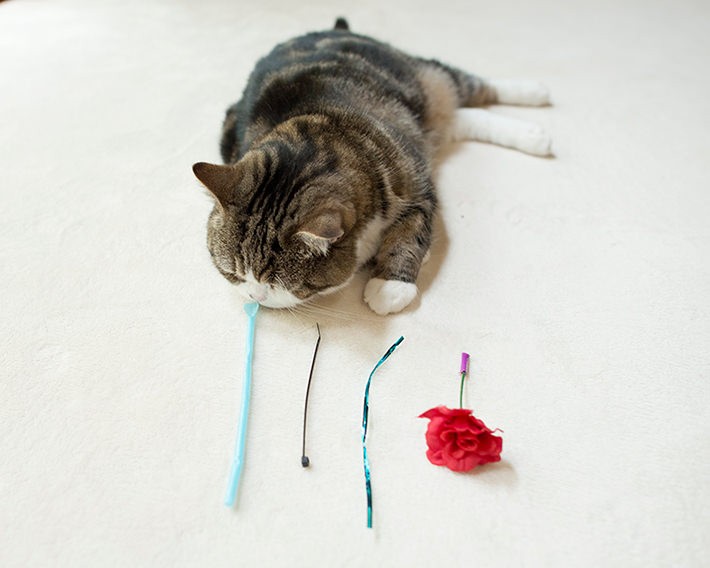 好きなおもちゃもいろいろ