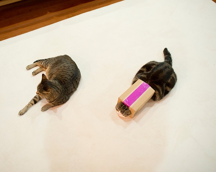 撮影時の心がけ:よく遊び、よく知る!