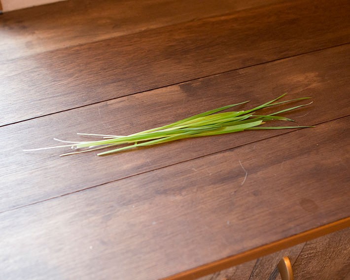 写真・動画撮影のポイント:まずは片付け! そして明るく撮れるレンズは必須