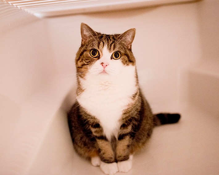 写真・動画撮影のポイント:まずは片付け! そして明るく撮れるレンズは必須