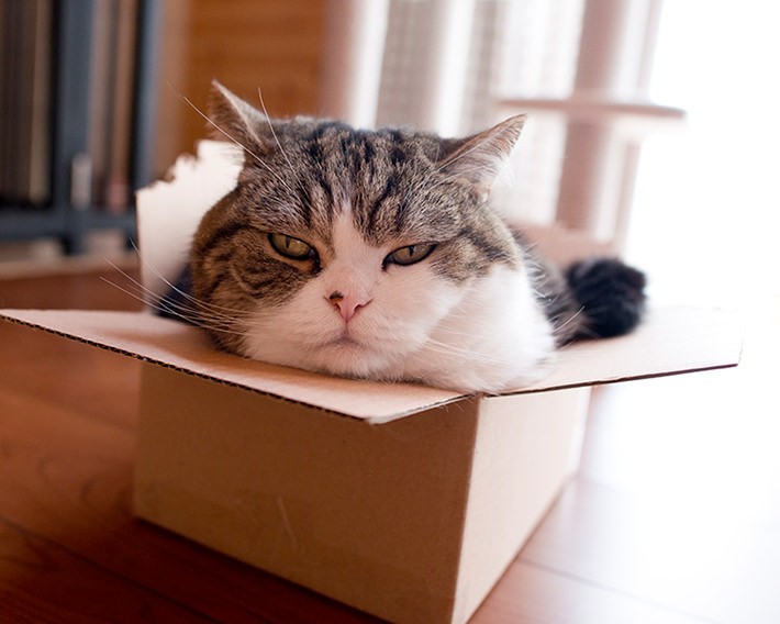 写真・動画撮影のポイント:まずは片付け! そして明るく撮れるレンズは必須