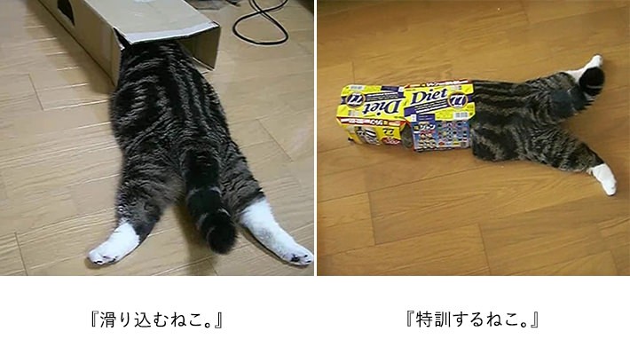 写真より、動画を撮るほうがむずかしい