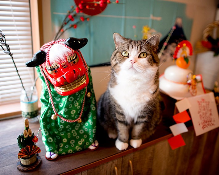 写真・動画撮影のポイント:まずは片付け! そして明るく撮れるレンズは必須