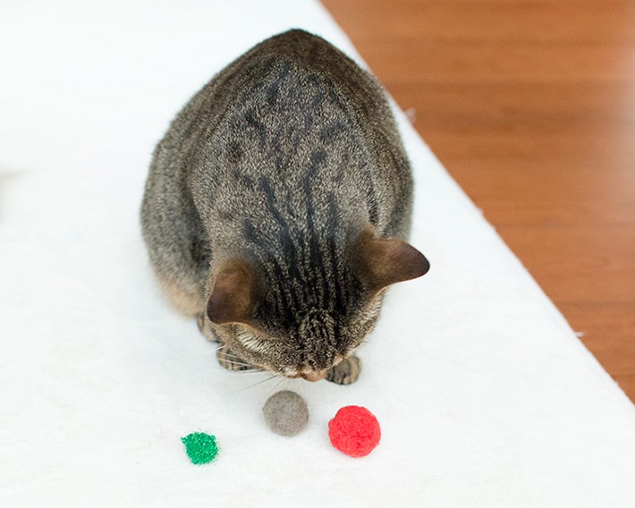 好きなおもちゃもいろいろ