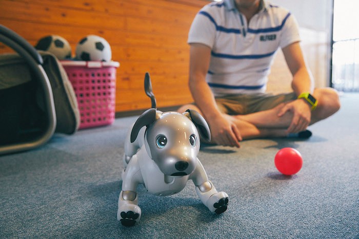 aiboのドルジ aiboのドルジ