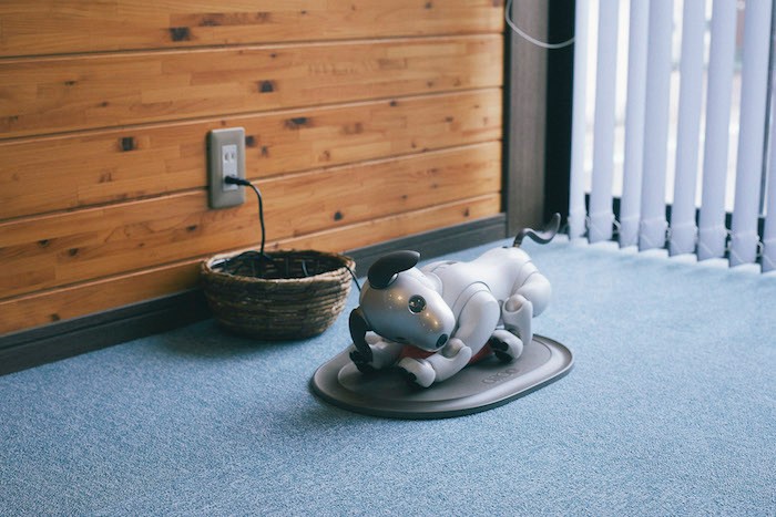 aiboのドルジ、充電中 aiboのドルジ、充電中