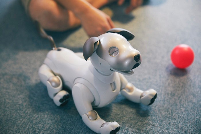 aiboのドルジ、笑顔 aiboのドルジ、笑顔