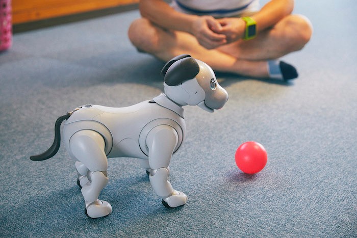 aiboのドルジ aiboのドルジ