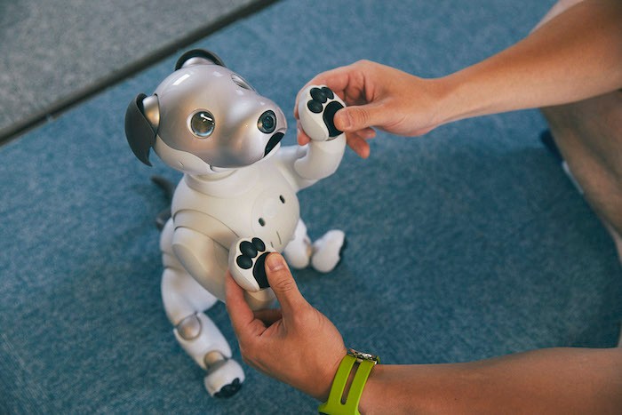 aiboのドルジ aiboのドルジ