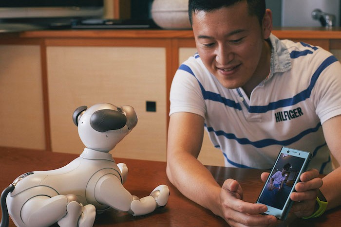 aiboのドルジ aiboのドルジ