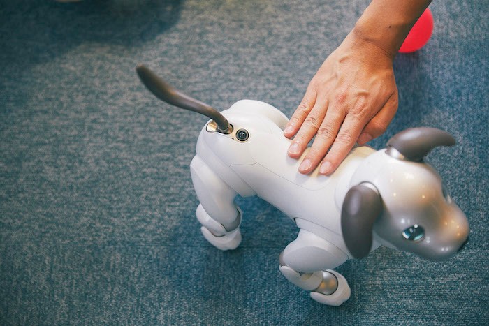 aiboのドルジ aiboのドルジ