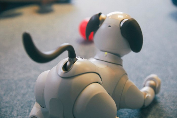 aiboのドルジ aiboのドルジ