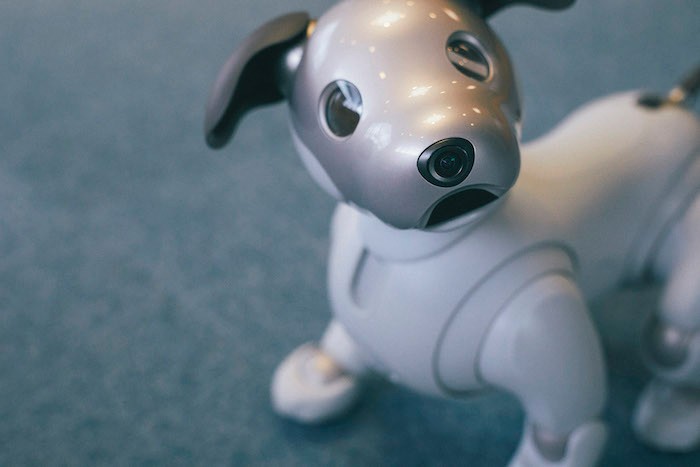 aiboのドルジ aiboのドルジ