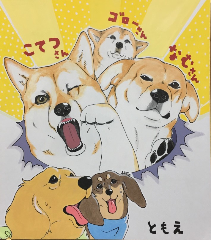 “あばれる犬”こと「こてつ」と「なむ」の飼い主、人気ツイッタラーがくこさんがバズを起こすまで