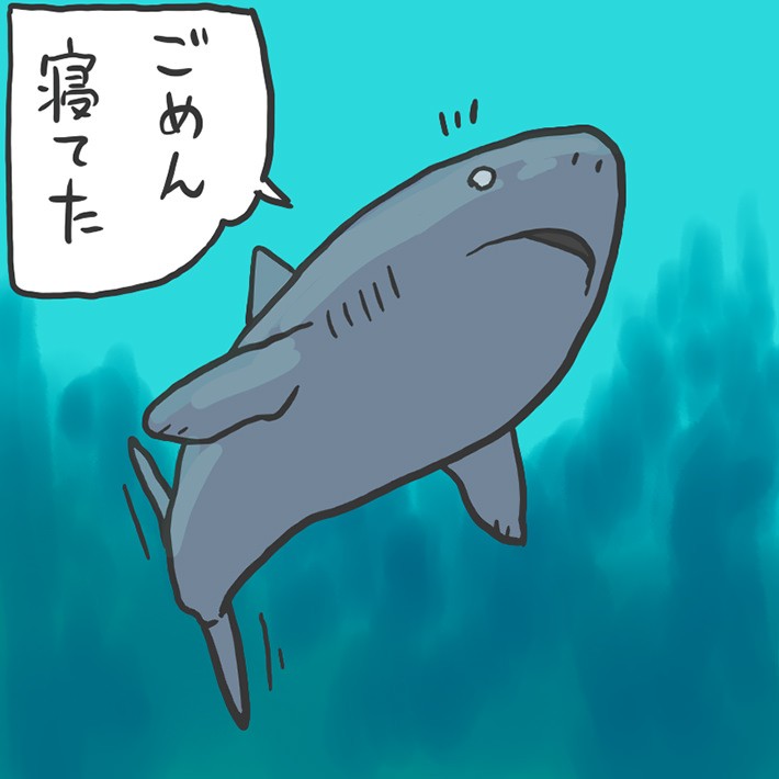 2.スローに暮らす「ニシオデンザメ」