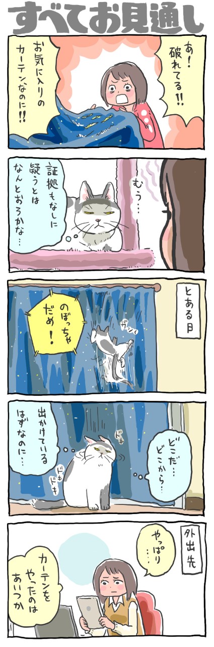 ペットのいたずらだって、すべてお見通し