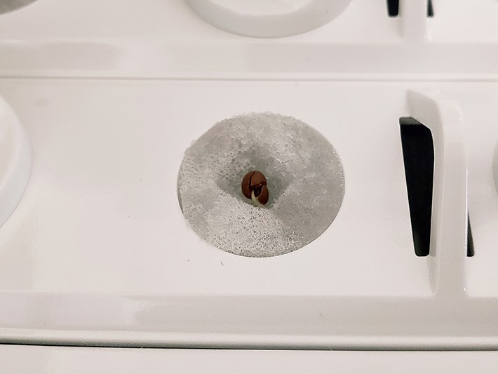 野菜を育てるのにインターネットにつながる必要あるの? とりあえずレタスの種をまいてみた