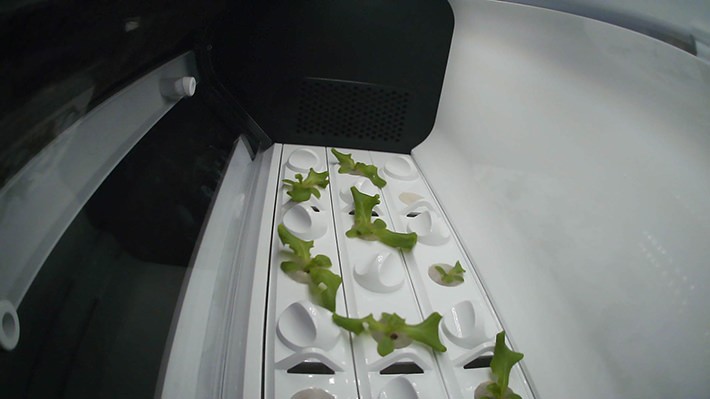 成長過程をスマホのアプリで管理。 搭載のカメラ機能で記録した写真はわが子のアルバムを見るようなうれしさ!?