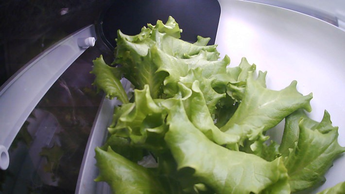 成長過程をスマホのアプリで管理。 搭載のカメラ機能で記録した写真はわが子のアルバムを見るようなうれしさ!?