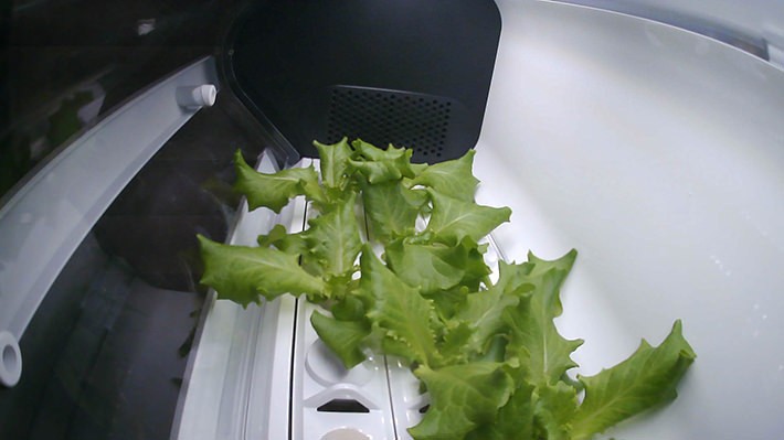 成長過程をスマホのアプリで管理。 搭載のカメラ機能で記録した写真はわが子のアルバムを見るようなうれしさ!?