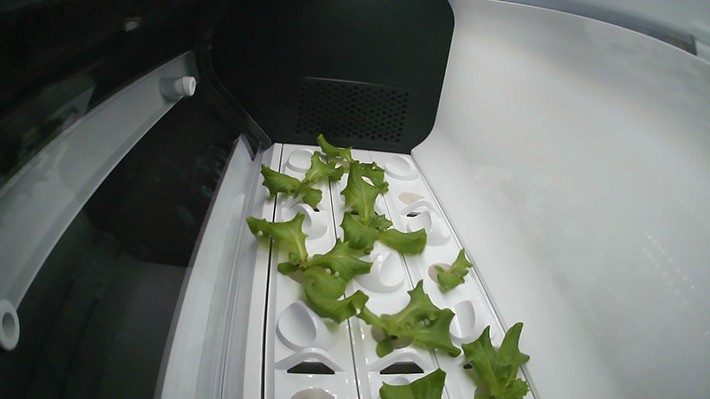 成長過程をスマホのアプリで管理。 搭載のカメラ機能で記録した写真はわが子のアルバムを見るようなうれしさ!?