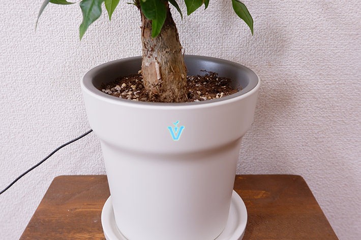 グローケアポット