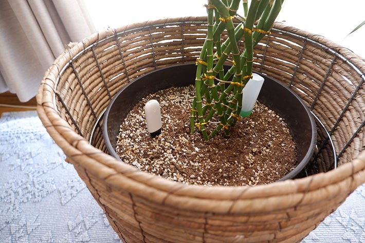 植木鉢に差したグローケアホーム