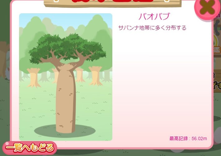 地道に木を育てます「モモの森」