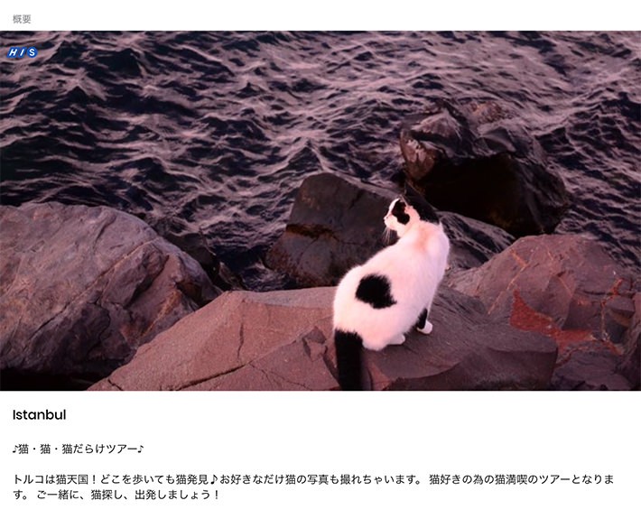 はHISの「【フォト機能付】猫の街イスタンブールで猫・猫・猫だらけツアー♪」