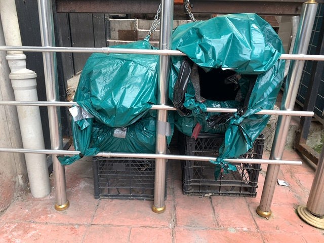 はHISの「【フォト機能付】猫の街イスタンブールで猫・猫・猫だらけツアー♪」