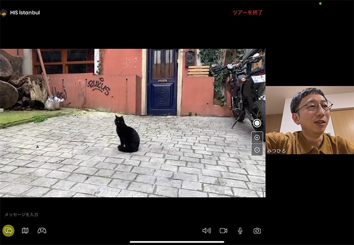 はHISの「【フォト機能付】猫の街イスタンブールで猫・猫・猫だらけツアー♪」