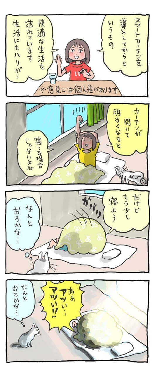 スマートカーテンの注意点