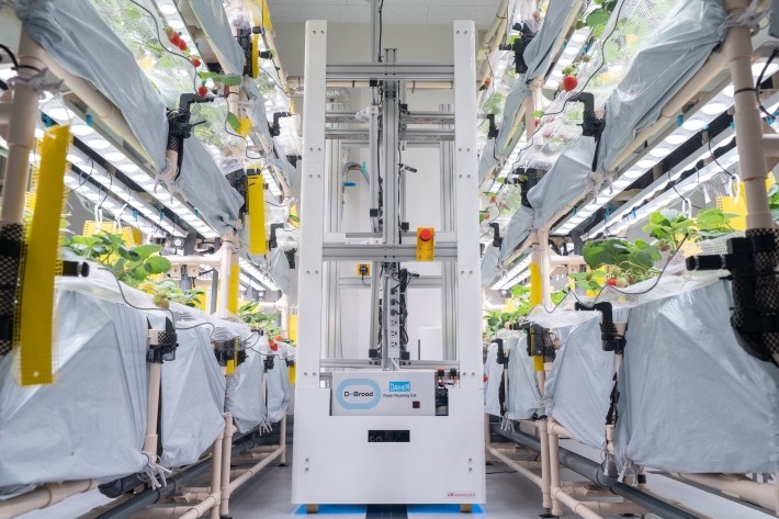 今後、日本における食料危機などに対してどのようにお考えですか?