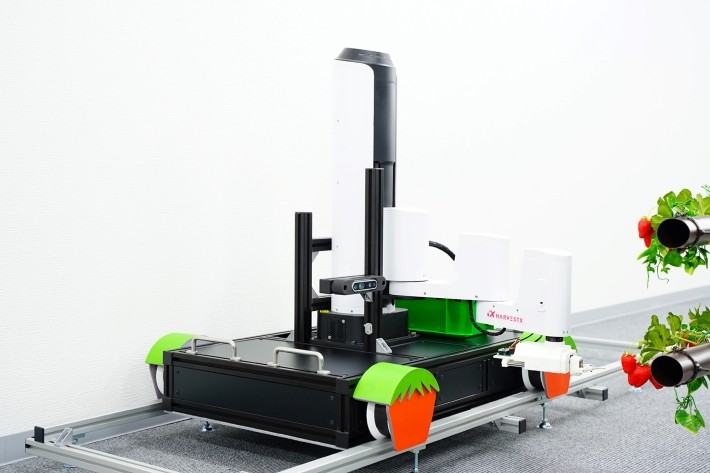 長い年月をかけて蓄積してきた農家のノウハウとテクノロジーの掛け合わせで未来につなげる。