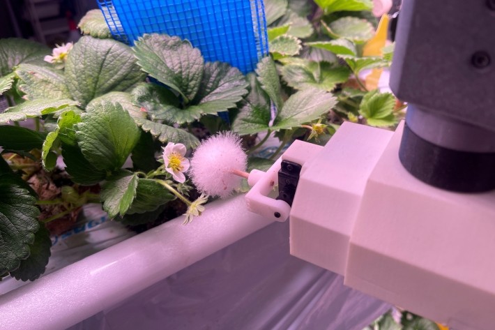 どのようにプロジェクトを進められたのでしょうか?