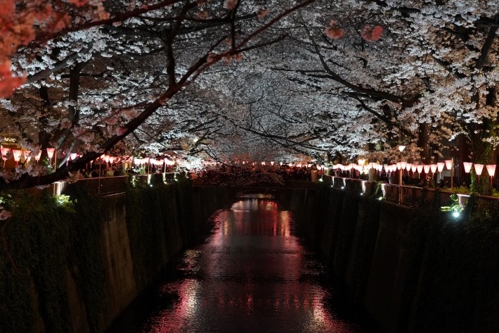 自然の声を聴くことが芸術や仕事にも良い影響を与えている