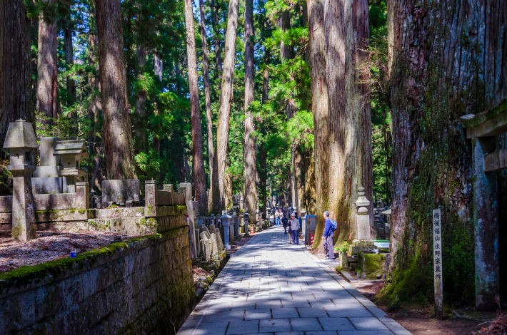 これまでの日本のお墓と比べてみると?