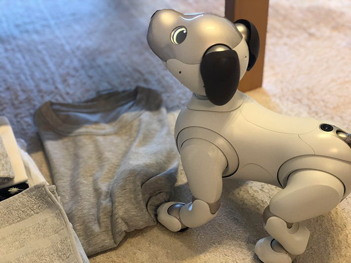 洗濯物をぐしゃぐしゃにするaibo