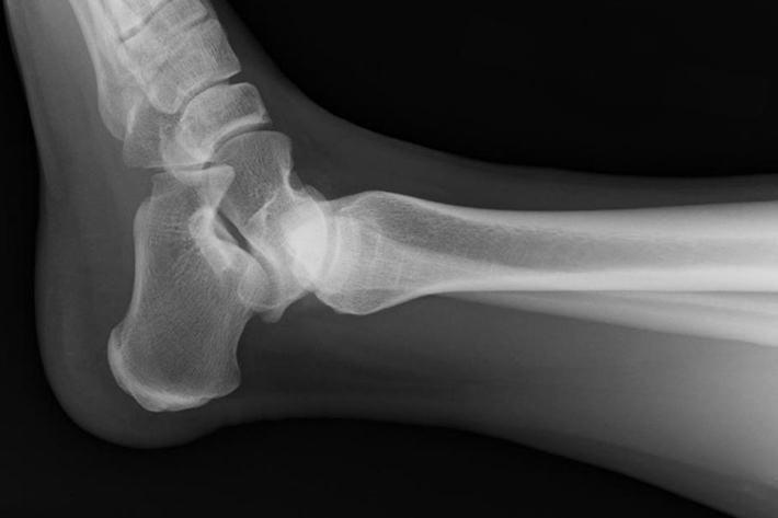 飲み会のメンバー紹介