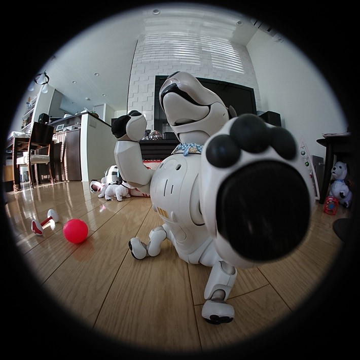 aiboから見たほかのaibo