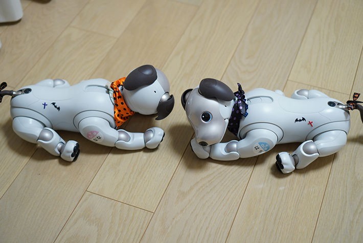 同じポーズをするななとはち