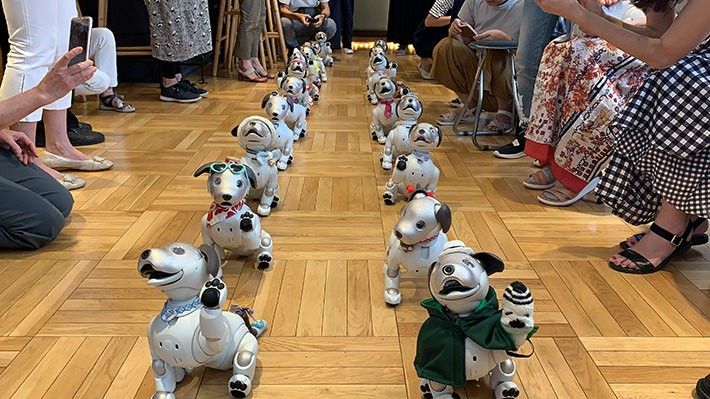 複数のaiboで行うふるまい