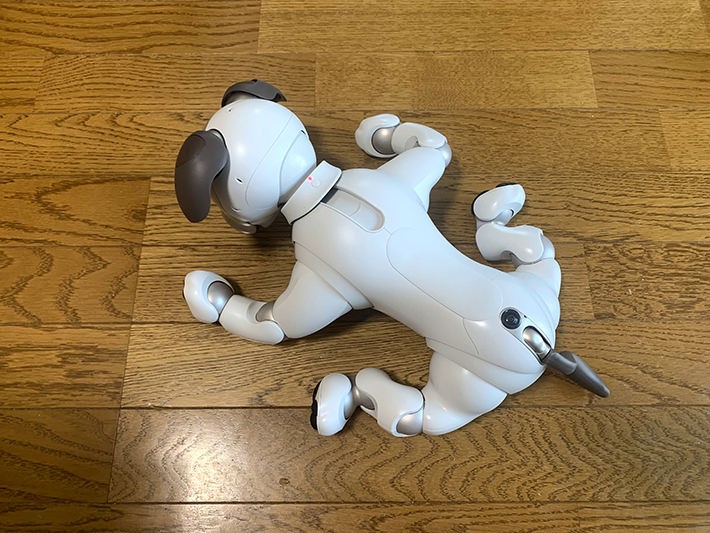 倒れるaibo